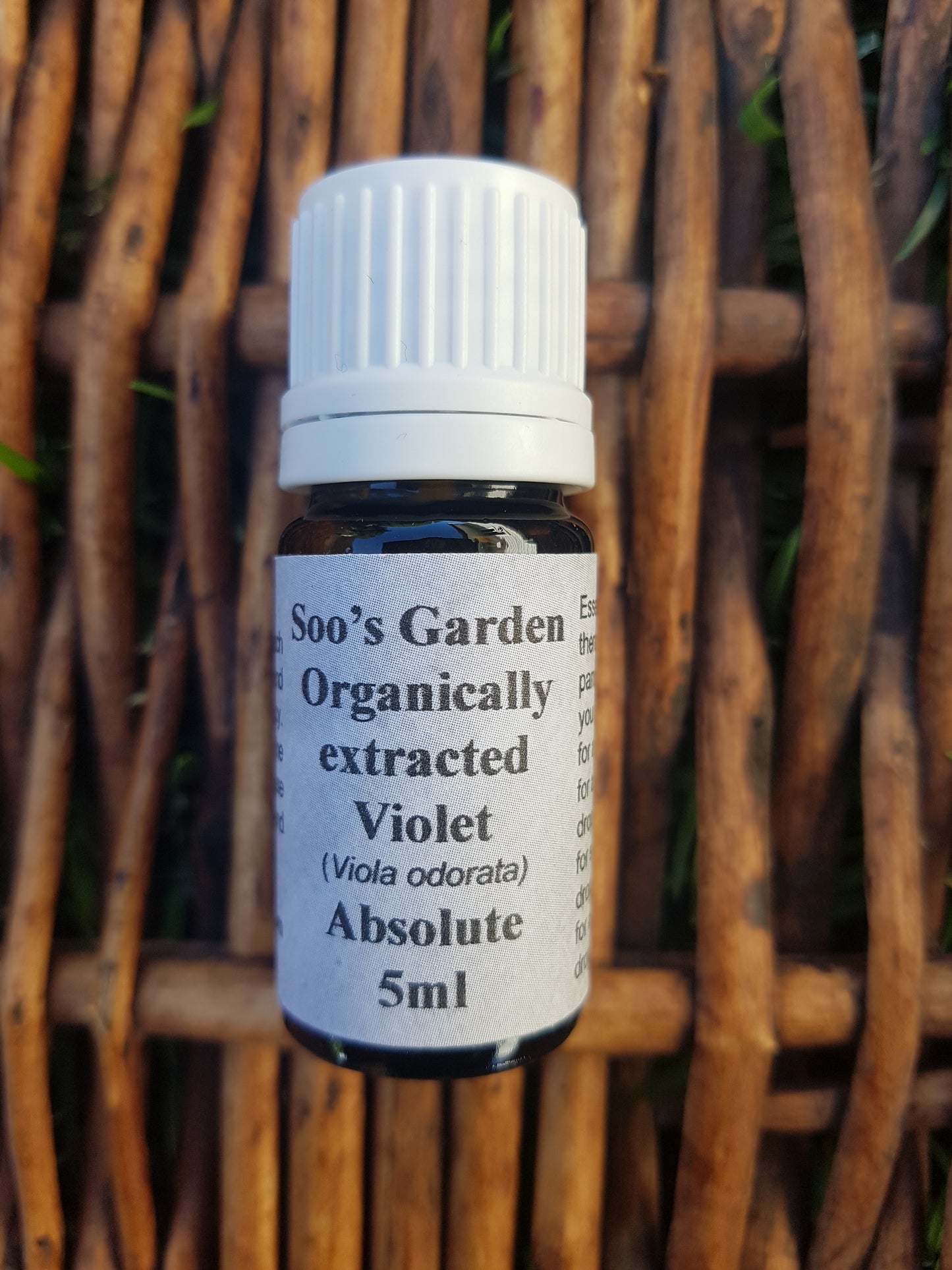 Violet absolute 5ml
