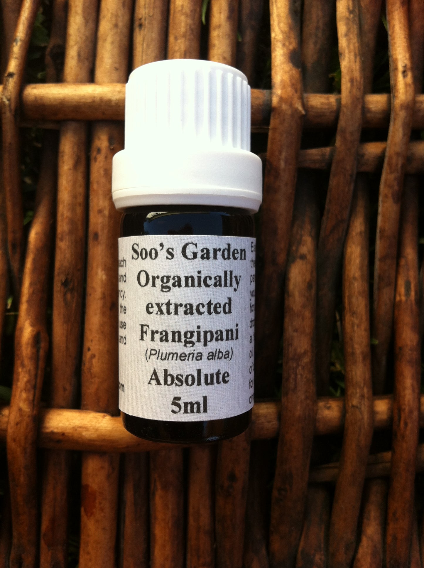 Frangipani absolute 5ml