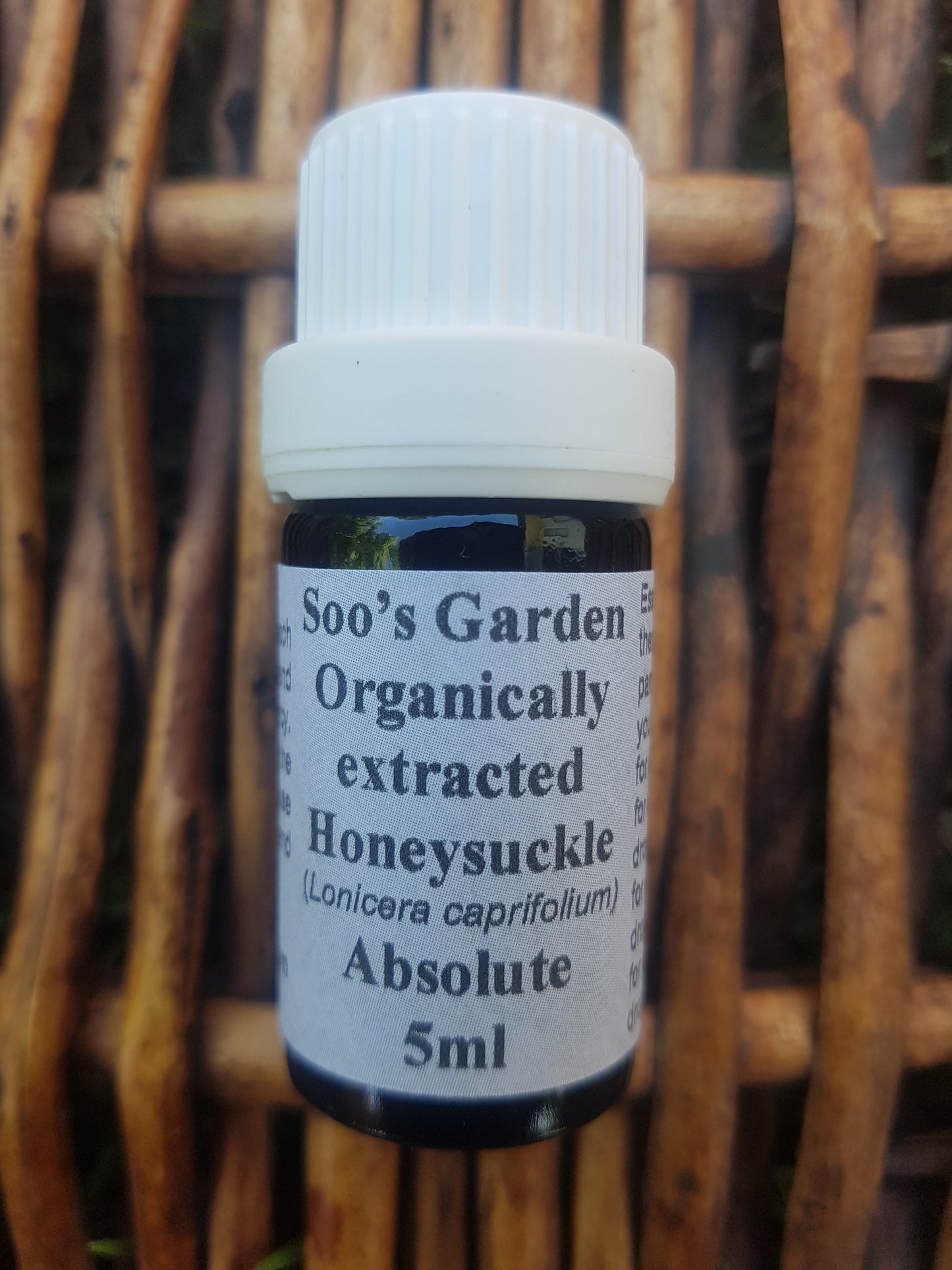 Honeysuckle absolute 5ml