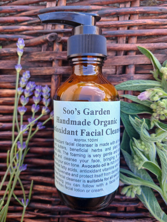 Antioxidant facial cleanser 100ml
