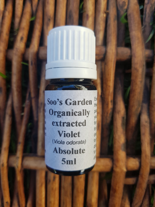 Violet absolute 5ml