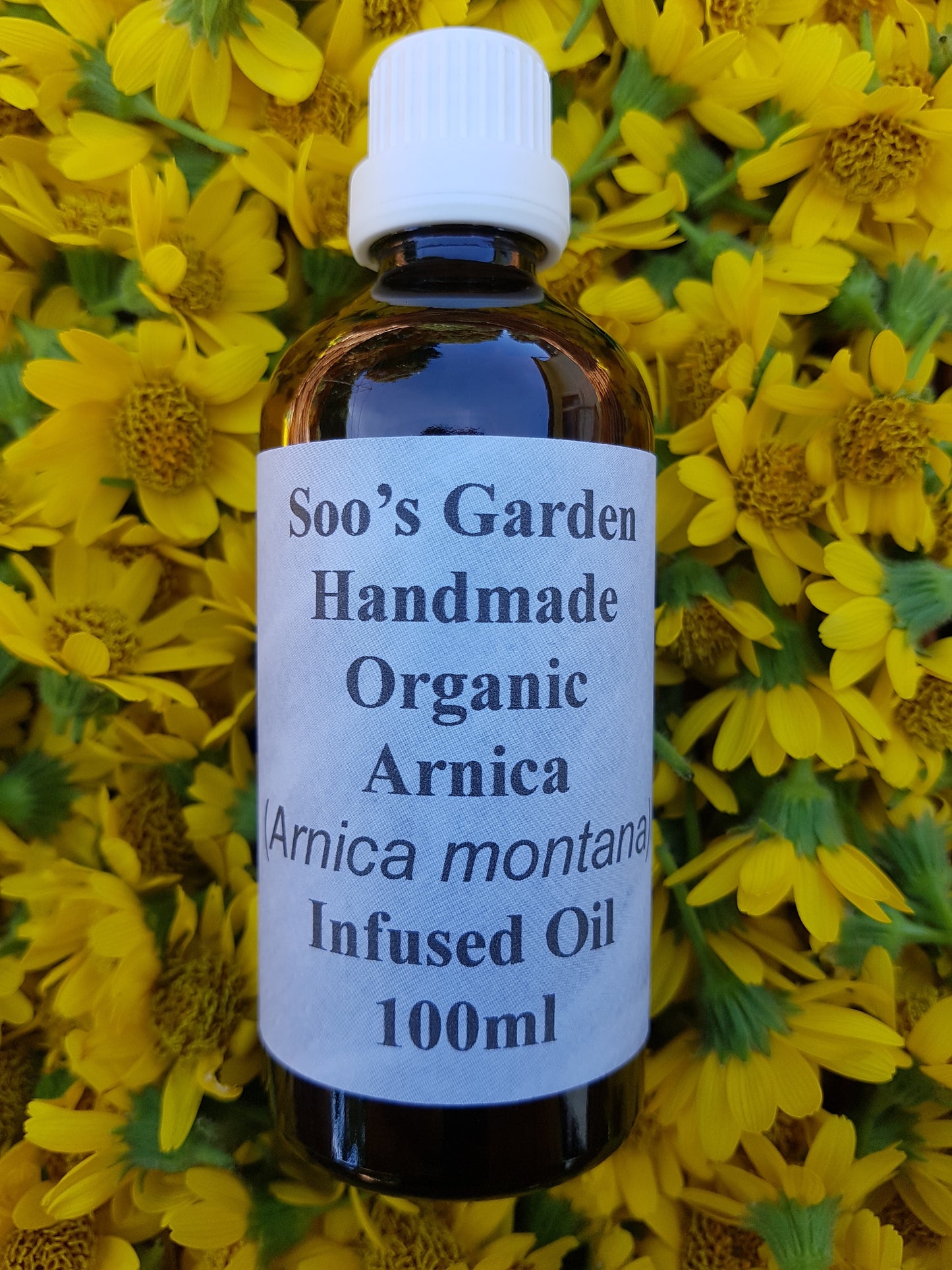 Arnica infused oil 100ml