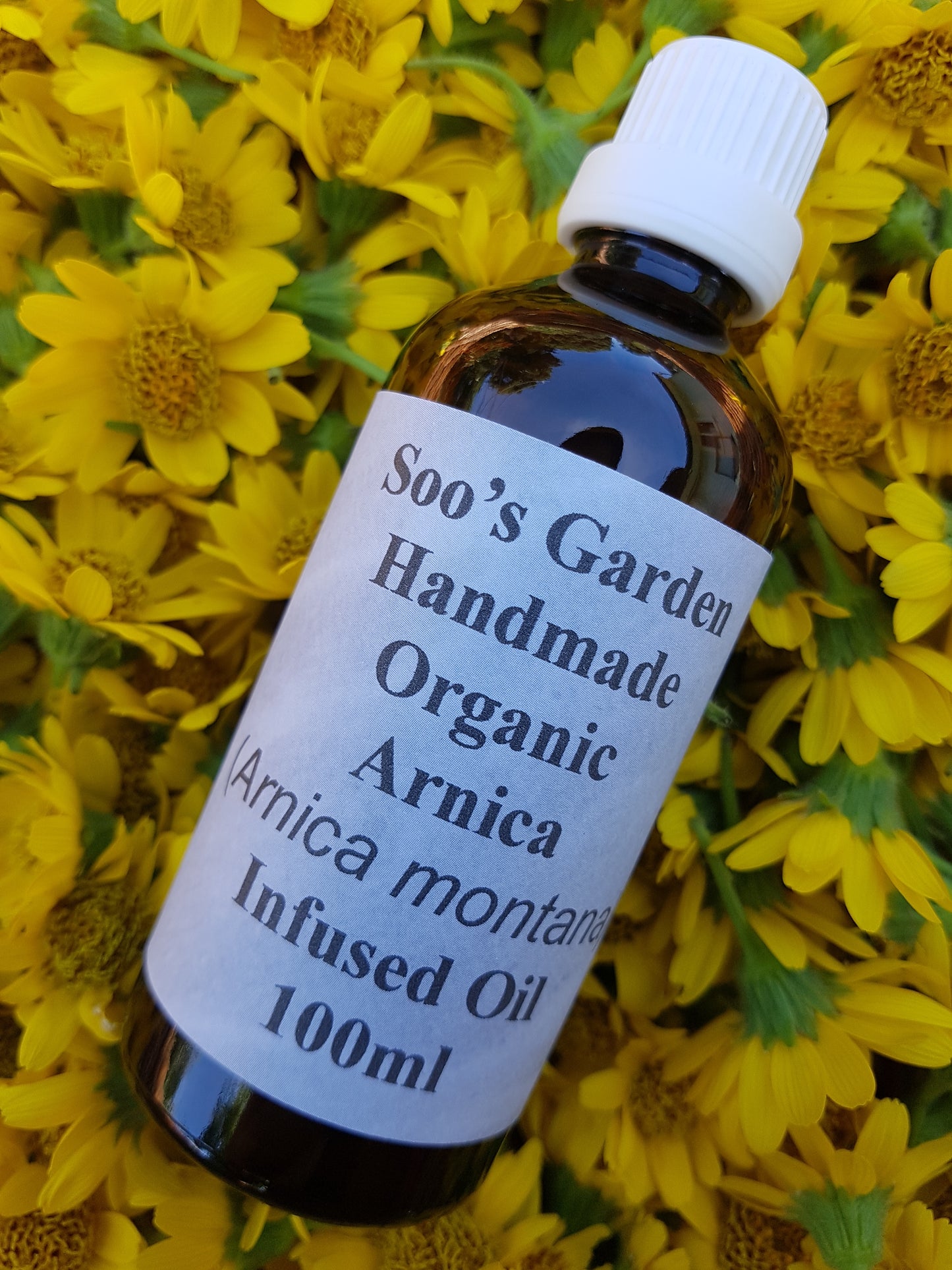 Arnica infused oil 100ml