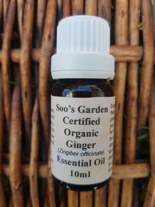 Ginger essential oil 10ml