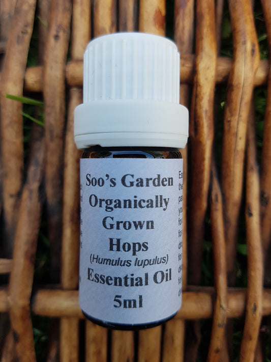 Hops essential oil 5ml