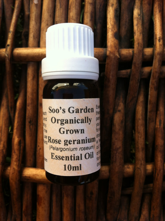 Rose Geranium essential oil 10ml